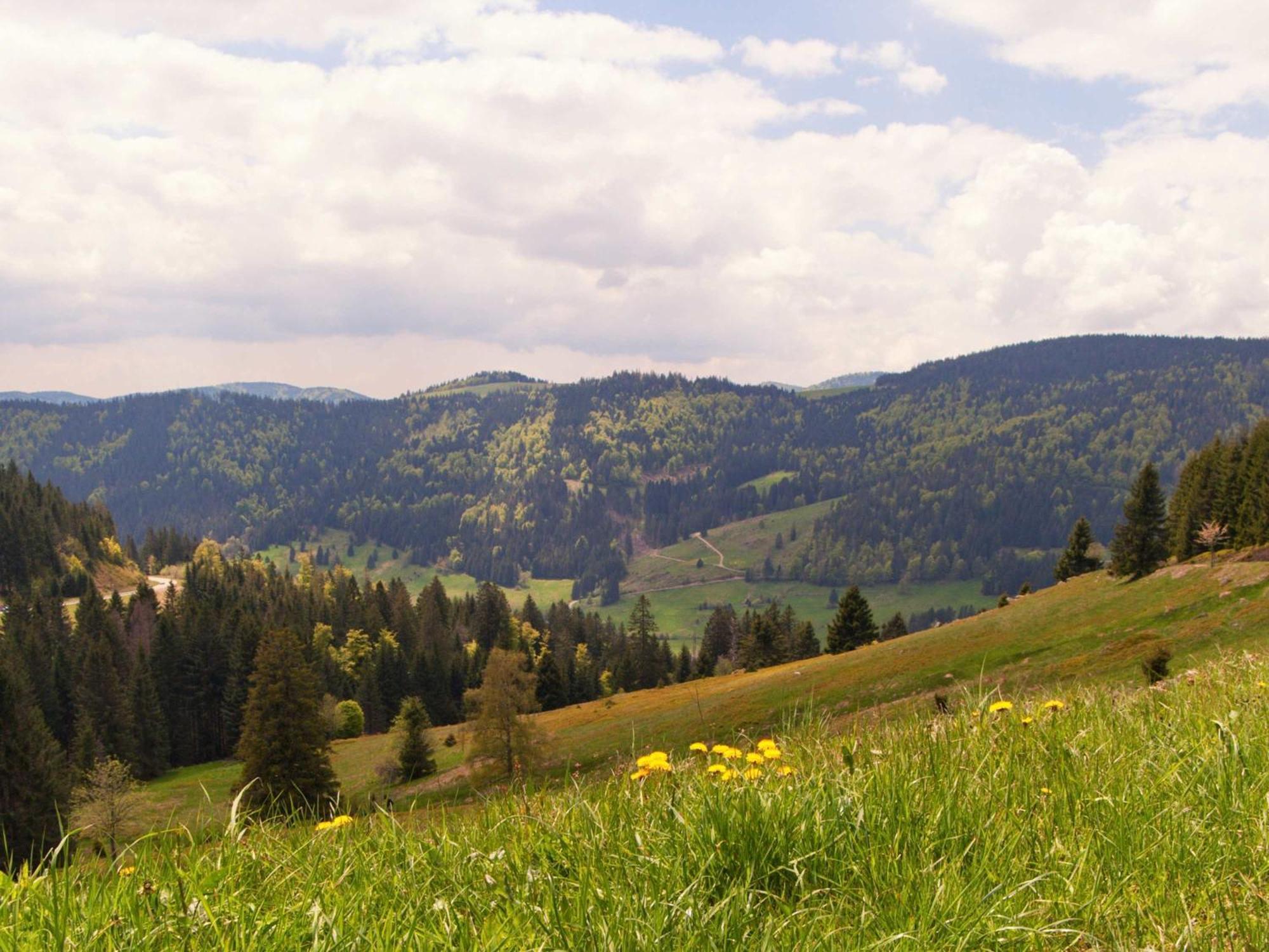 Relaxapartments Black Forest Diamond Direkt An Der Hornberger Freilichtbuehne - Sonnenterrasse Mit Blick Auf Das Hornberger Schloss, Schnelles Internet, Fuer Bis Zu 2 Personen Exterior foto